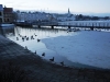 island_winter_00151