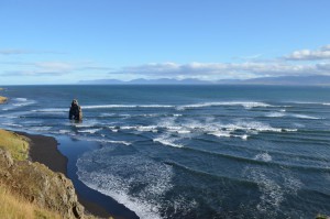 Nordic Beach Cleanup Saturday - wish to participate? 1 Nordic Beach Cleanup Saturday - wish to participate?