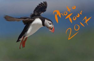 Tour fotografico 2017 1 progetto-disegno-2