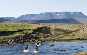 Iceland - wonderful even during "off" season!! 2 Iceland - wonderful even during "off" season!! 1