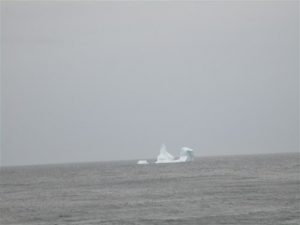 Iceberg Spotted Near Westfjords 1 Iceberg Spotted Near Westfjords